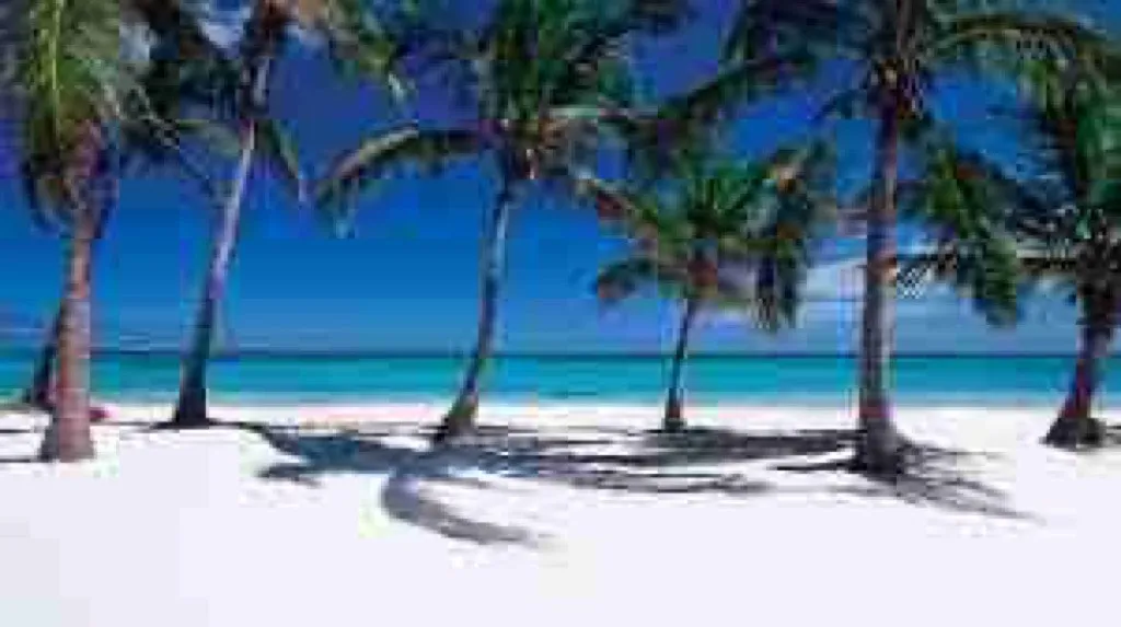 BeachCiudadCana
