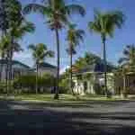Arrecife 1