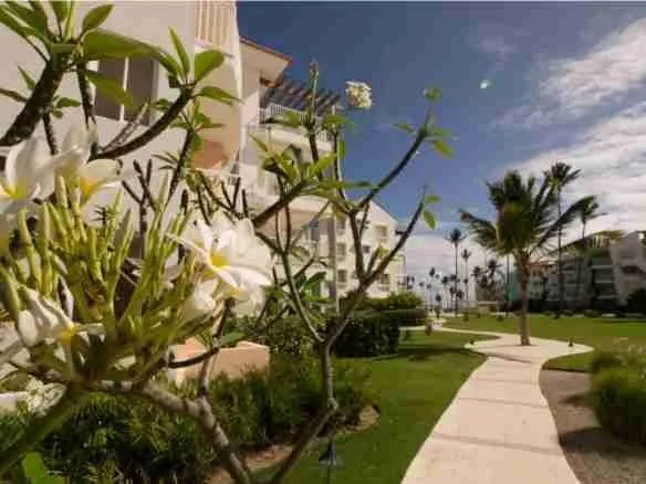 Astonishing Beachfront Three Bedroom Condo For Sale Ideal For Airbnb At Punta Cana 2