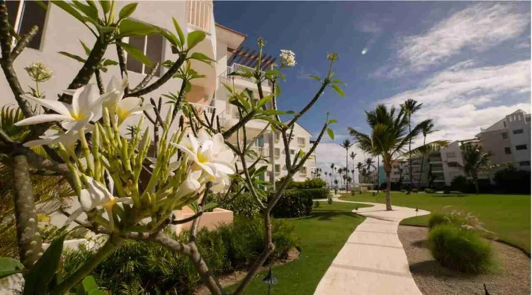 Astonishing Beachfront Three Bedroom Condo For Sale Ideal For Airbnb At Punta Cana 2