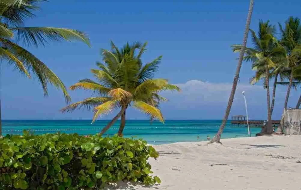 Gorgeous Two bedroom condo for sale in a great location with pool at Punta Cana 6