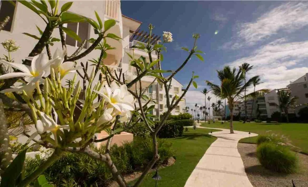 Radiant Two Bedroom Beachfront Condo For Sale With Pool Views At Punta Cana 8