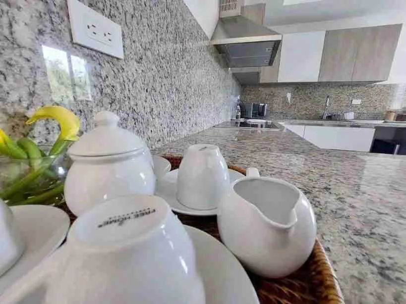Beuatiful and Cozy Two bedroom condo for sale with amazing Golf and Pool views at Punta Cana 36