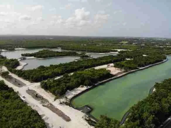Incredible Lot for sale with lake views at Punta Cana 5