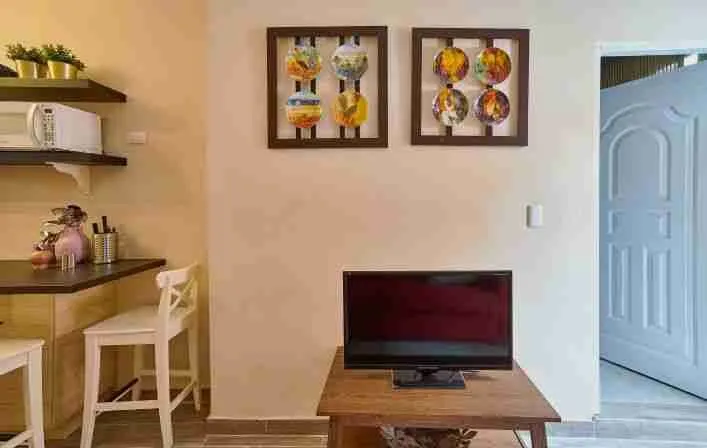 Beautiful apartment ideal for investment excellent return and ideal location Colonial Zona Santo Domingo 5