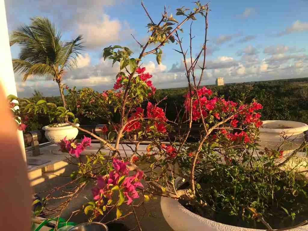 Captivating 3BR Condo for sale in Cap Cana jacuzzi and Beautiful views 4