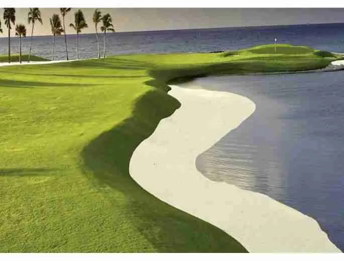 Incredible Lot for sale Cap Cana with great amenities 3.1