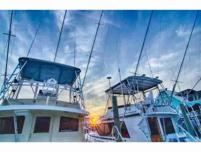 Incredible Lot for sale Cap Cana with great amenities 4