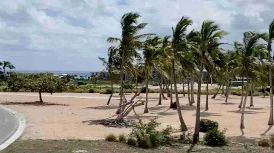lot for sale in cap cana las palmas2023 02 25 at 3.17.23 PM