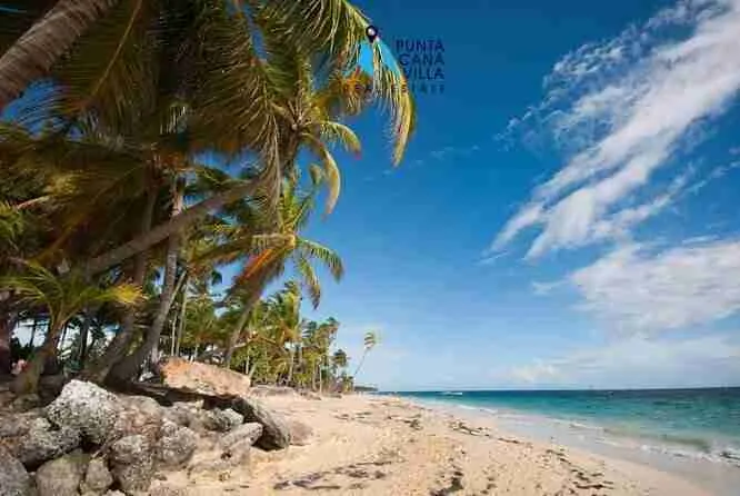 Condo for sale in Bavaro View Beach 1