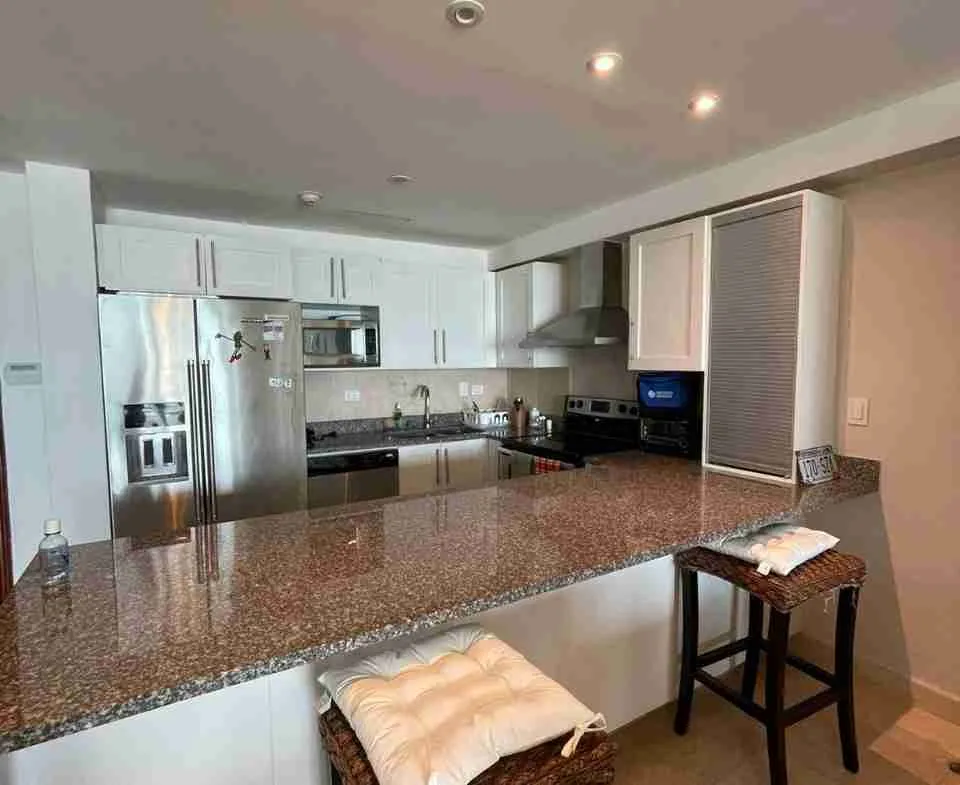 Punta Palmera Aparment for sale kitchen