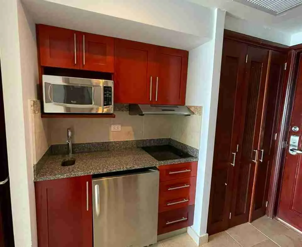 Punta Palmera Aparment for sale kitchen2
