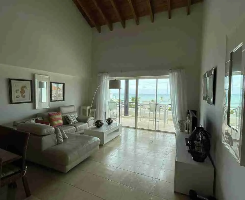 Punta Palmera Aparment for sale living room2