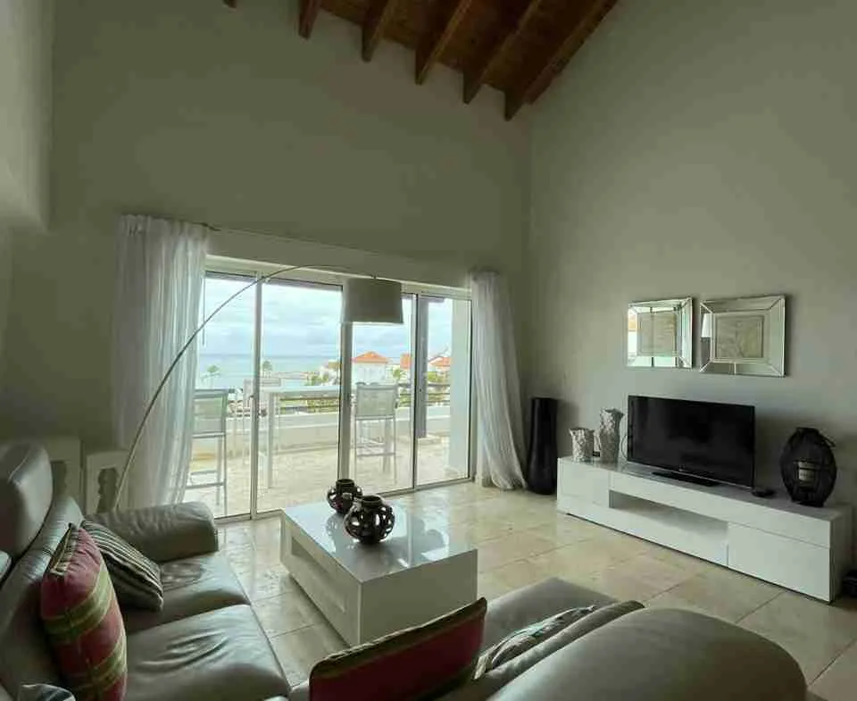 Punta Palmera Aparment for sale living room3
