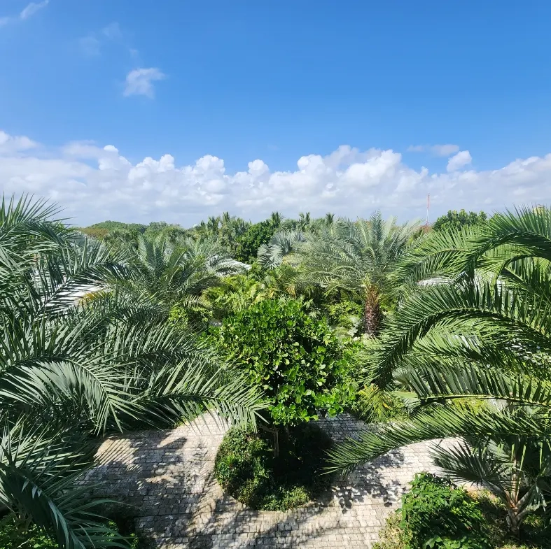 ID , Corales, Seven Bedroom House For Sale in Punta Cana Resort & Club, Dominican Republic ()