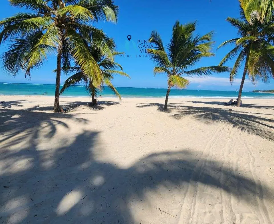 White Sands Beach Bavaro Arena Gorda