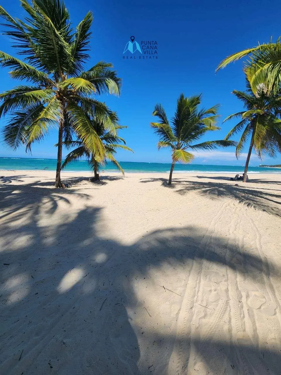 White Sands Beach Bavaro Arena Gorda White Sands Beach Bavaro Arena Gorda