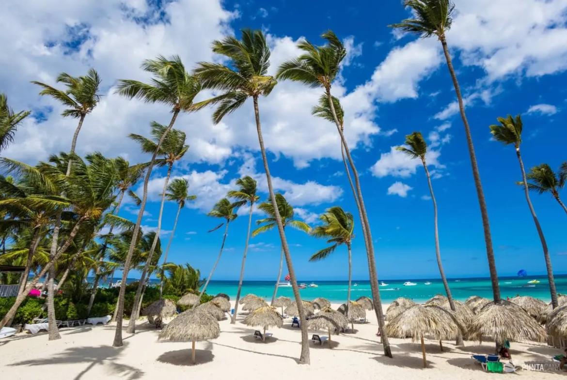 ID , Luxury Oceanfront Penthouse in Punta Cana with Exclusive Private Terrace ()