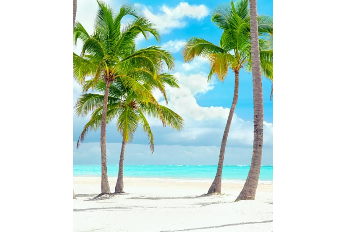 istockphoto x