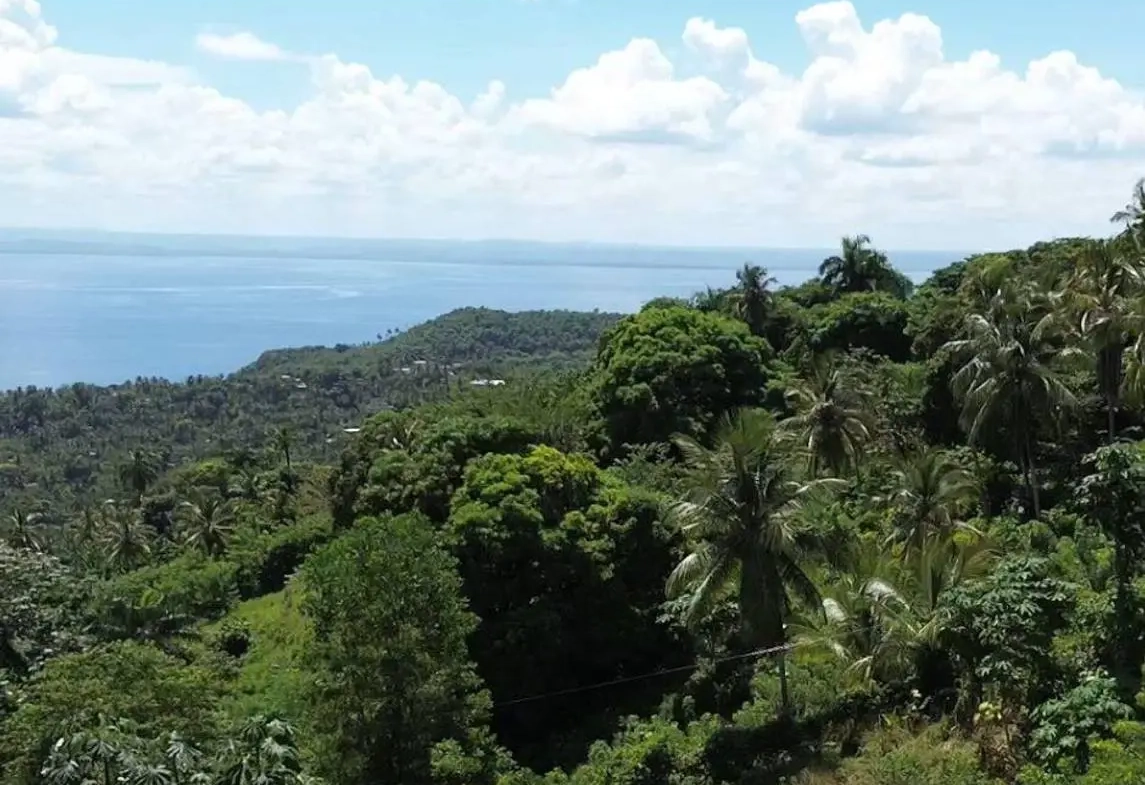 ID 4053 Colina del Paraíso Exclusive Ocean View Hillside Estates in Monte Rojo Samaná (1)