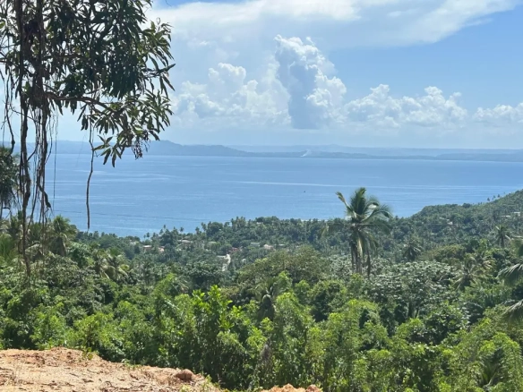 ID 4053 Colina del Paraíso Exclusive Ocean View Hillside Estates in Monte Rojo Samaná (10)