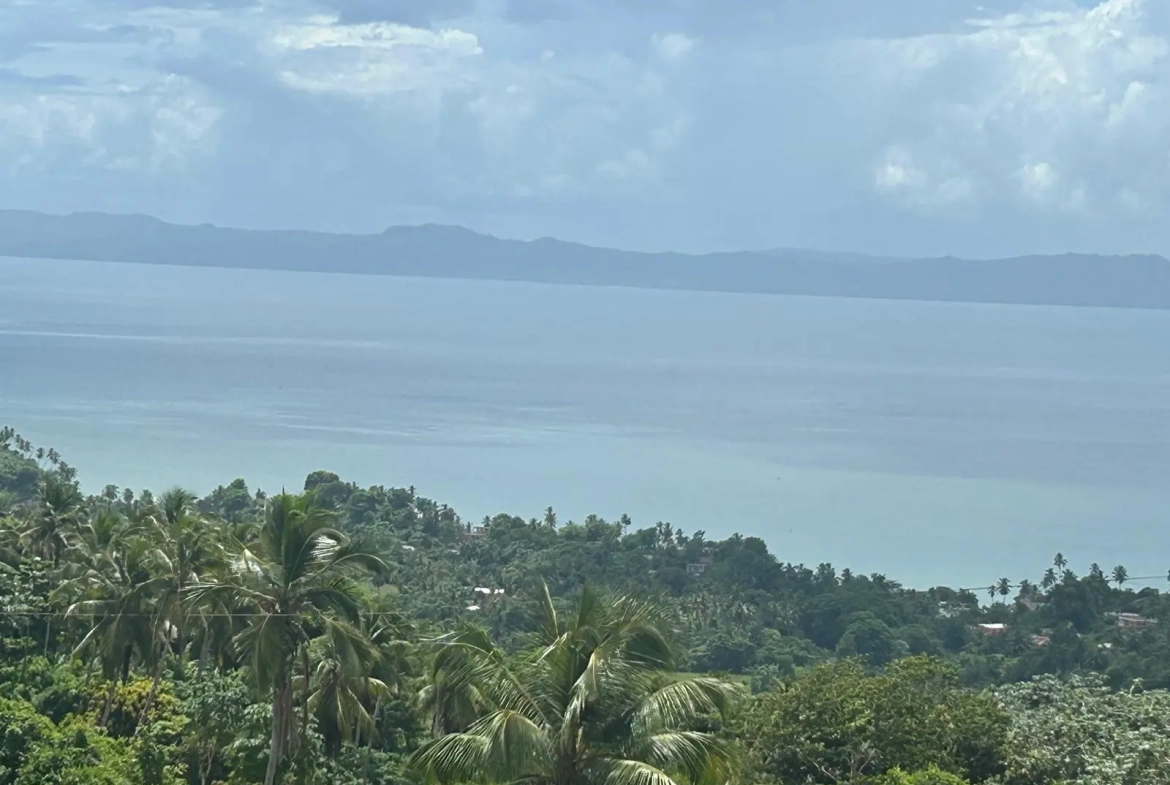 ID 4053 Colina del Paraíso Exclusive Ocean View Hillside Estates in Monte Rojo Samaná (9)