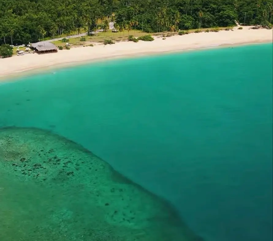ID 4054 Cap El Limon Beachfront Lot for Sale in Samana Dominican Republic (3)